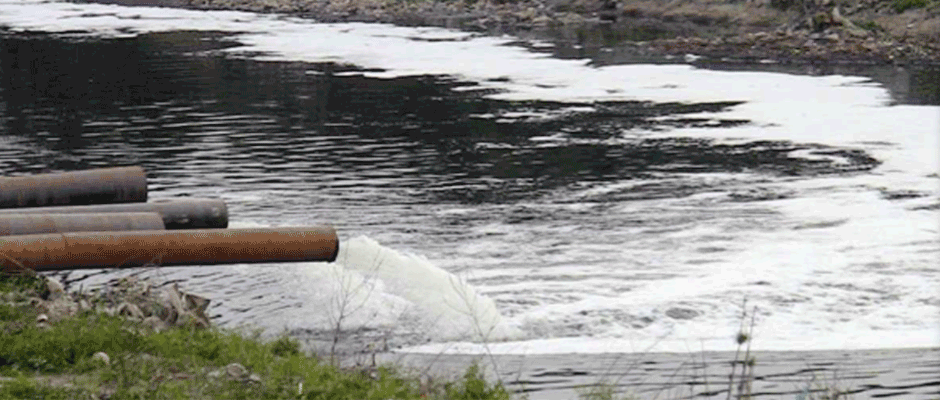 Life flows in Ganga water, but under threat