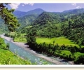 Environmental Day June 5, 2014