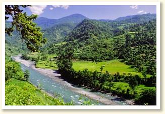 Environmental Day June 5, 2014